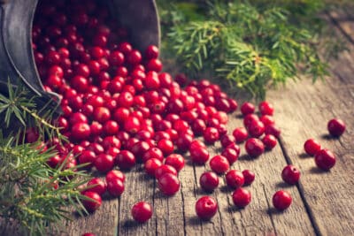 Cranberry