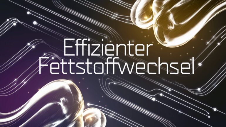 Effizienter Fettstoffwechsel