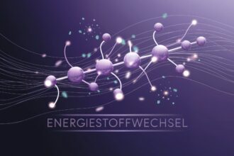 Energiestoffwechsel