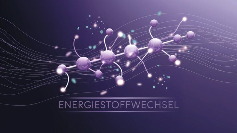 Energiestoffwechsel